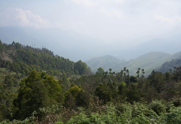 pexels-ravikant-32187564