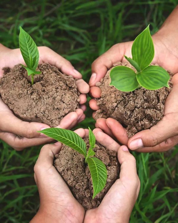 plant-seeds-img
